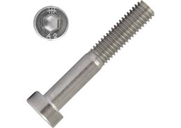 Zylinderschrauben (DIN 7984)
