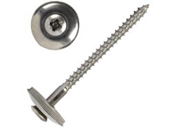 Kreuzschlitz Z mit 20mm Scheibe