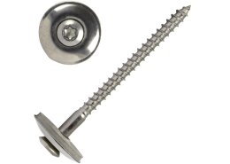 Innensechsrund (TX) mit 20mm Scheibe