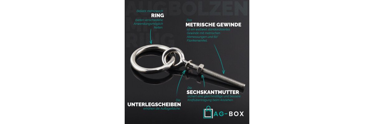 Augbolzen mit Ring aus Edelstahl A4 – Robuste und vielseitige Befestigungslösungen - Augbolzen mit Ring aus Edelstahl A4 – Robuste Befestigungslösungen