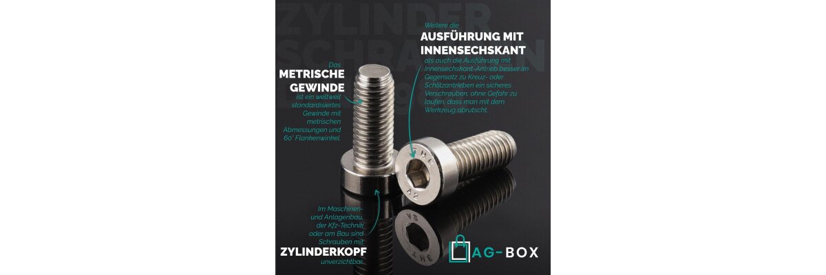 Zylinderschrauben mit Innensechskant, niedriger Kopf, DIN 7984, Edelstahl A2 – Vielseitige und robuste Befestigungslösungen - Zylinderschrauben mit Innensechskant, niedriger Kopf, DIN 7984, Edelstahl A2 – Robuste Befestigungslösungen