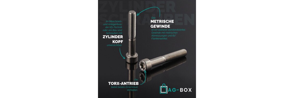 Zylinderschrauben mit Innensechsrund ISO 14579 aus Edelstahl A2 – Robuste und vielseitige Befestigungslösungen - Zylinderschrauben mit Innensechsrund ISO 14579 aus Edelstahl A2 – Robuste Befestigungslösungen