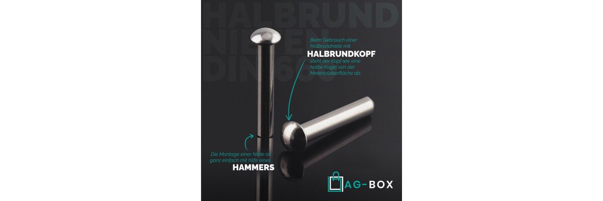 Halbrundnieten DIN 660 Edelstahl A2 – Starke &amp; Korrosionsbeständige Verbindungen - Halbrundnieten DIN 660 Edelstahl A2