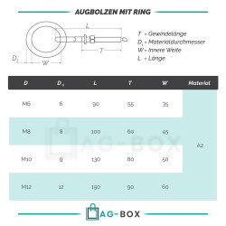 Augbolzen mit Ring Edelstahl A4