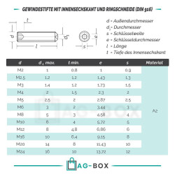 Gewindestifte mit Innensechskant u. Ringschneide DIN 916 Edelstahl A2