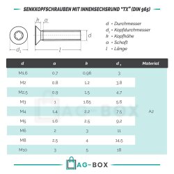 10 Stück Senkkopfschrauben M4x40 mit Innensechsrund "TX" - T20 DIN 965 Edelstahl A2