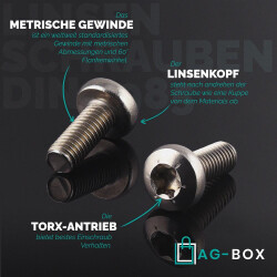 10 Stück Linsenschrauben M5x20 mit Innensechsrund "TX" - T25 DIN 7985 Edelstahl A2