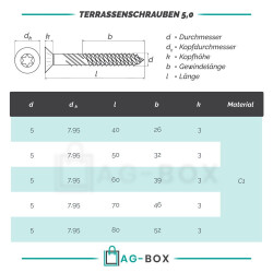 Terrassenschrauben TX-25 mit CUT-Spitze u. Schneidkerbe, Edelstahl C1