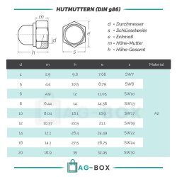 Hutmuttern M6 selbstsichernd mit nichtmetallischem Klemmteil DIN 986 Edelstahl A2