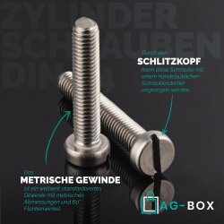 Zylinderschrauben M4x10 mit Schlitz DIN 84 Edelstahl A2