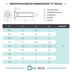 Senkkopfschrauben M5x12 mit Innensechsrund "TX" - T25 DIN 965 Edelstahl A2