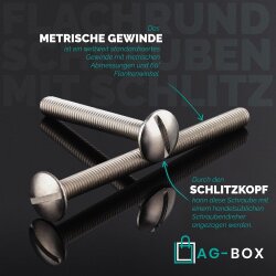 Flachrundschrauben mit großem Kopf und Schlitz Edelstahl A2 M5x20 Doppelgewindeschraube Schraubstifte Gewindestifte
