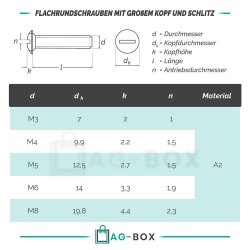 Flachrundschrauben mit großem Kopf und Schlitz Edelstahl A2 M6x20 Doppelgewindeschraube Schraubstifte Gewindestifte