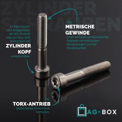 Zylinderschrauben M8x20 mit Innensechsrund TX (ISO 14579)