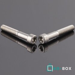 Zylinderschrauben M8x20 mit Innensechsrund TX (ISO 14579)