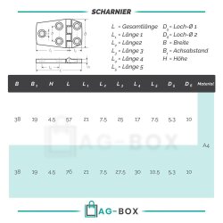 Scharniere 38x57mm Edelstahl A4