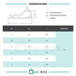 Federstecker 4mm Edelstahl A4